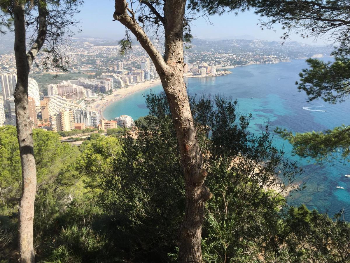 Mesana 102 / Penthouse Apartman Calpe Kültér fotó
